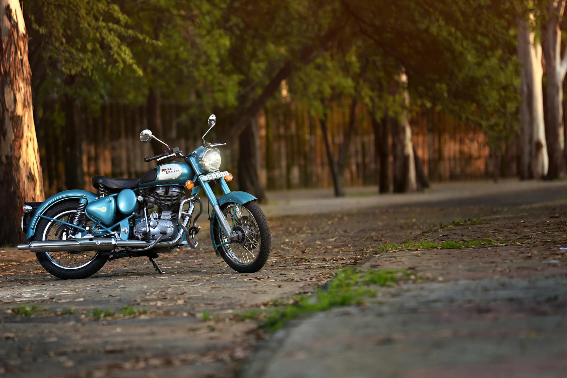 How to Burnout on a Motorcycle (Step-by-Step Guide)